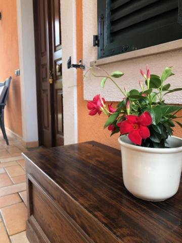Il Giardino Delle Rose Apartment สเปลโล ภายนอก รูปภาพ